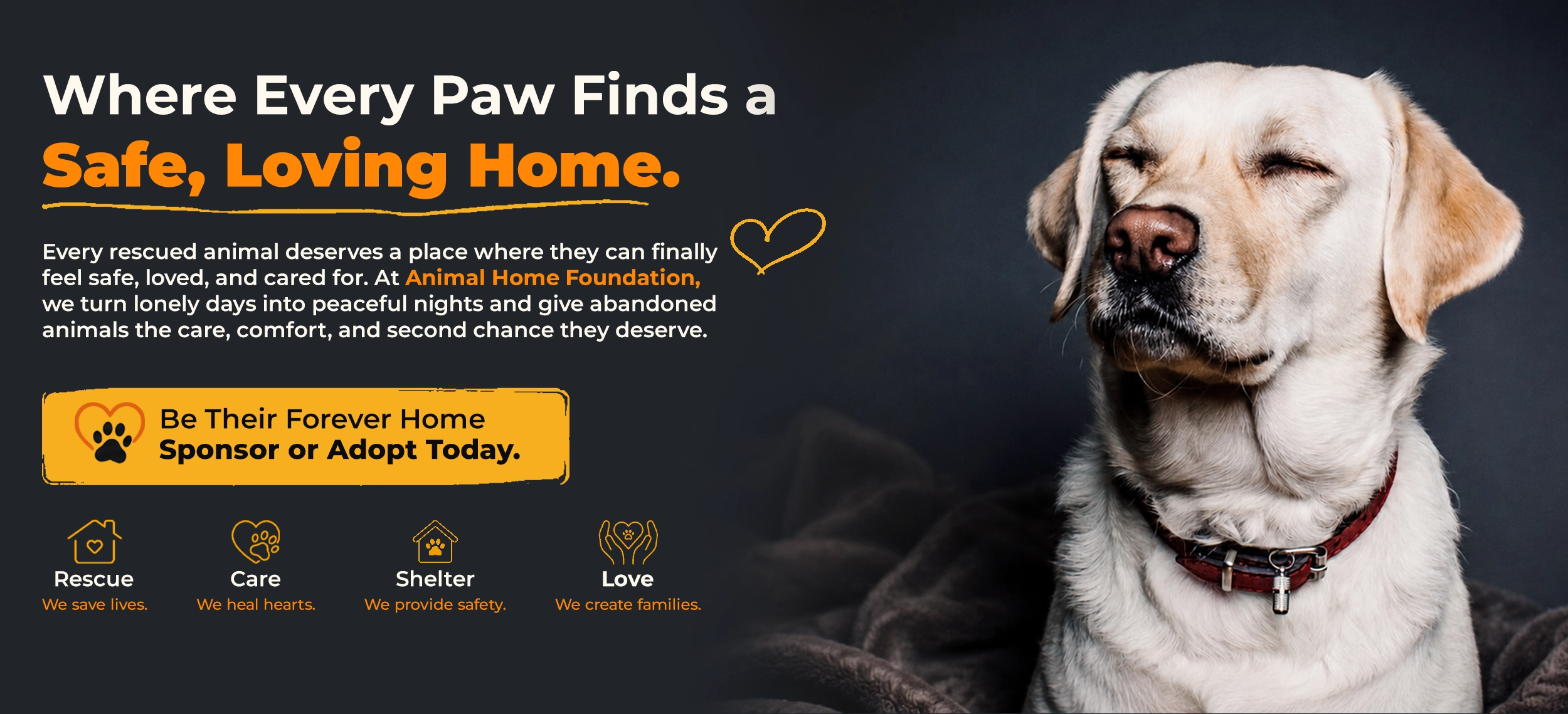 Animal Hope Foundation Banner 1