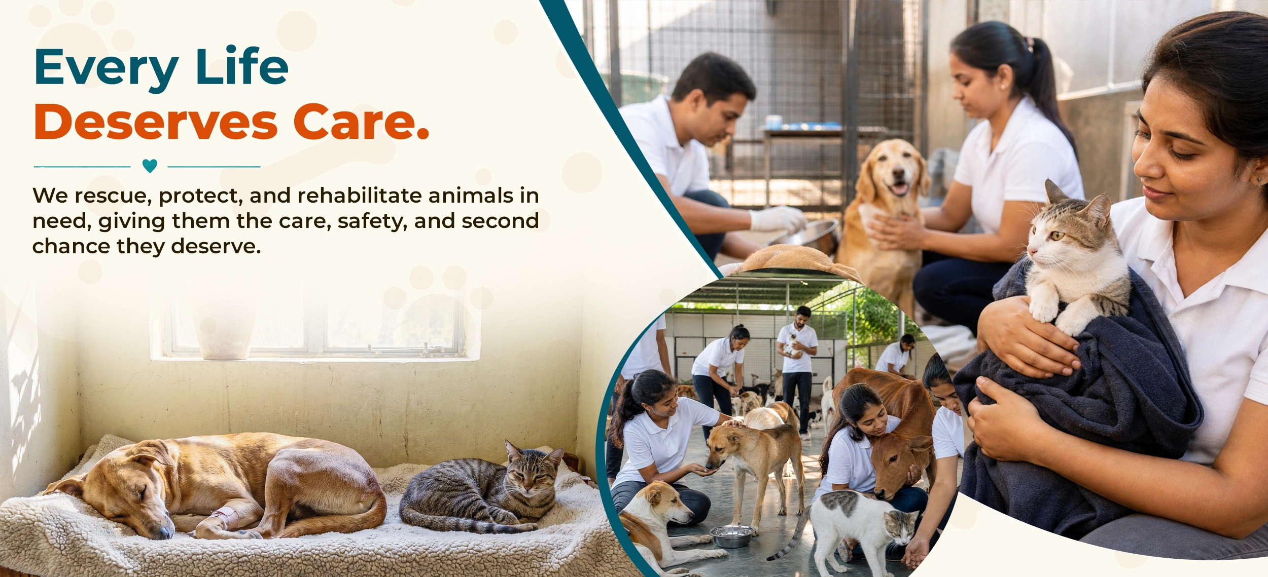 Animal Hope Foundation Banner 1