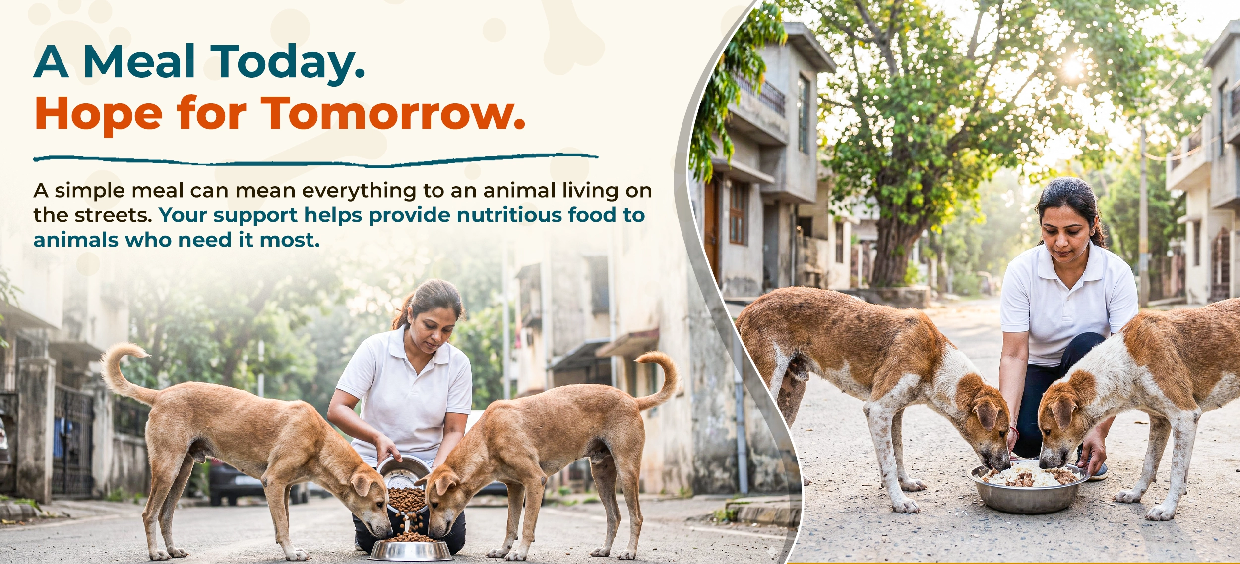Animal Hope Foundation Banner 1
