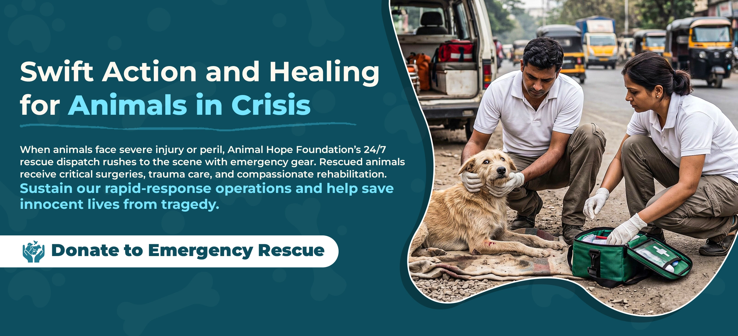 Animal Hope Foundation Banner 1