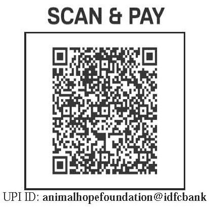 Expanded UPI QR Code